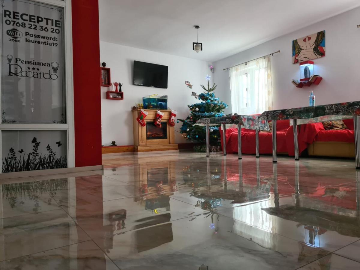 Pensiunea Riccardo Braşov Esterno foto